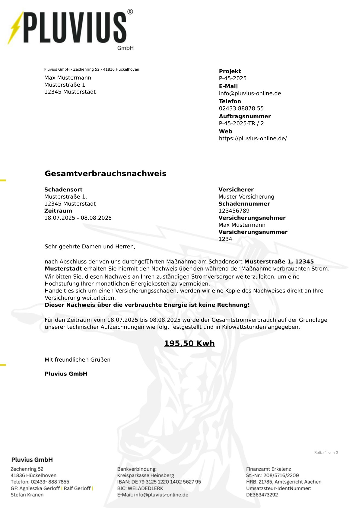 PDF-Vorlage: Gesamtverbrauch Projektkopf kompakt